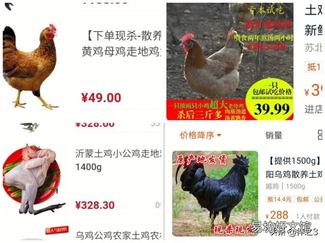 一百元一只土鸡，鸡龄11个月，你们觉得贵吗？