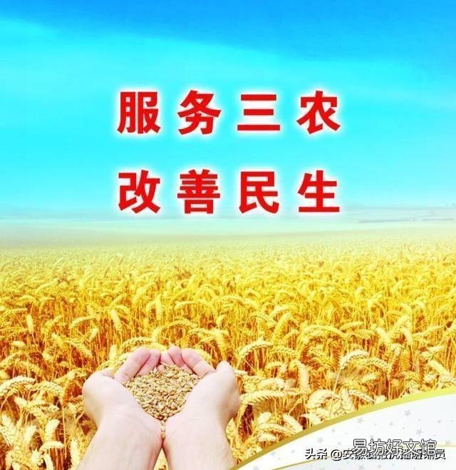 农村玉米即将抽穗了,怎么管能提高产量?