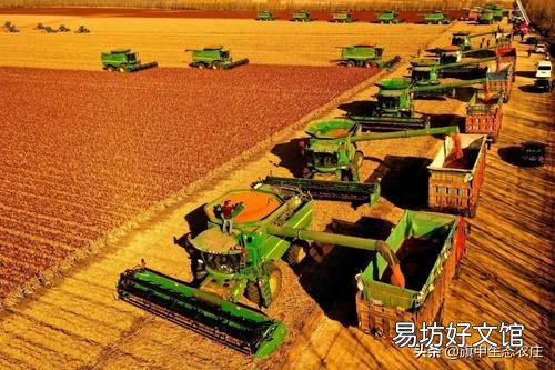 你是否赞成提高农产品价格以增加农民收入?