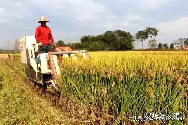你是否赞成提高农产品价格以增加农民收入?