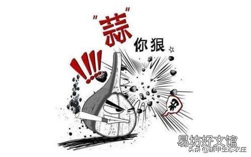你是否赞成提高农产品价格以增加农民收入?
