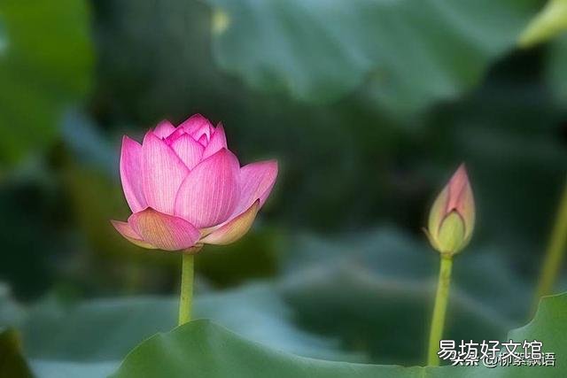 农村出来的就是“农民”吗?