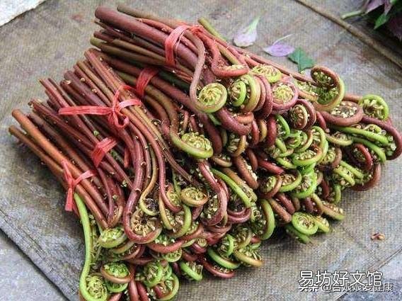 哪些野菜可以人工种植?种植的野菜每亩效益如何?
