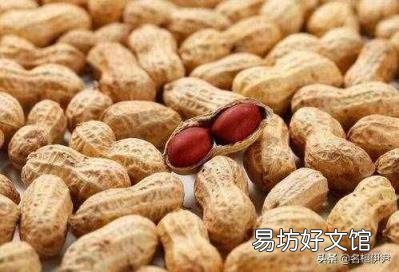 长寿果是什么果 长生果是什么