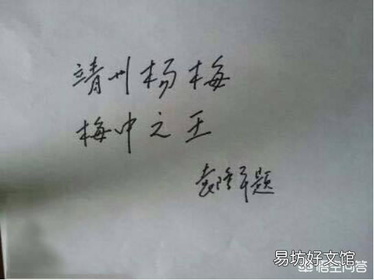 杨梅一种被外国人称为"中国草莓"的水果,到底哪里产的最好?