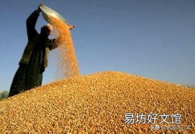 为什么只愿给补贴不愿提高粮价是何道理?