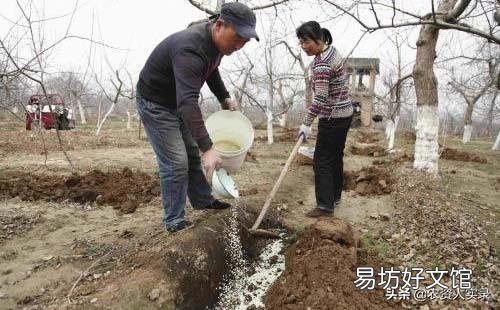 氮素化肥为什么要深施？怎样深施？