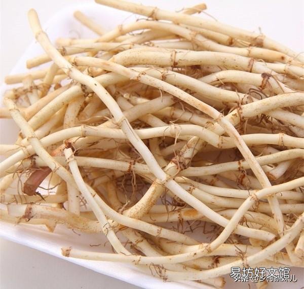鱼腥草对身体很好,怎么做菜吃能够让更多的人喜欢它?