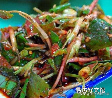 鱼腥草对身体很好,怎么做菜吃能够让更多的人喜欢它?
