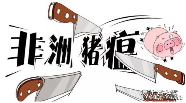 仔猪价为何不降?