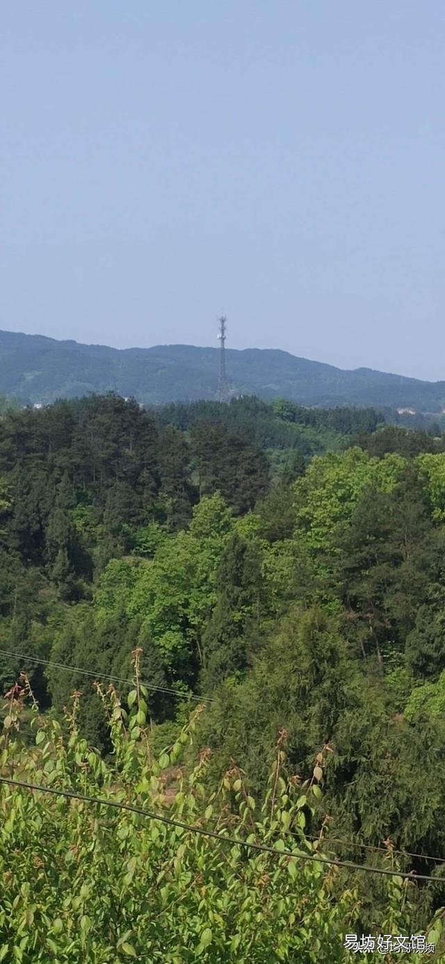 农村柴灶常见的故障有哪些?