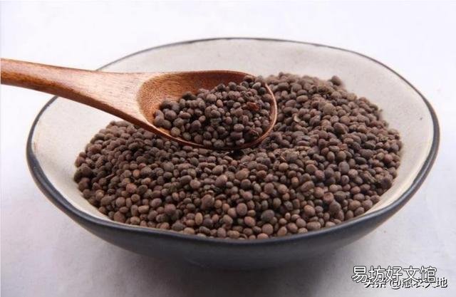 农村有一种花叫急性子,怎么样栽培种植?
