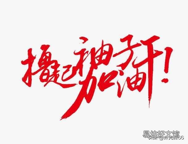 刚买来的小鸭子怎么喂?
