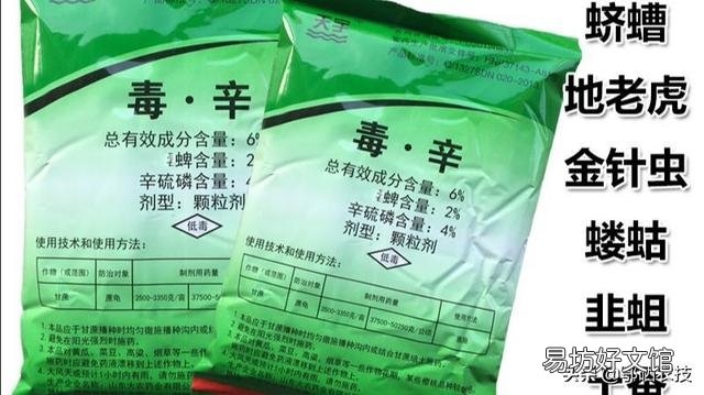 春季危害马铃薯的地下害虫主要有哪些?如何综合防治?