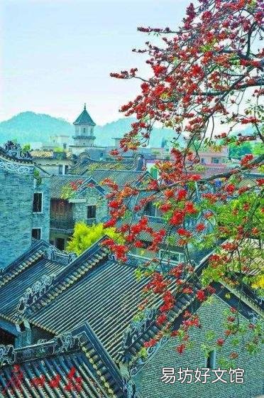 赞美老师的语段100字 赞美老师的名人名言