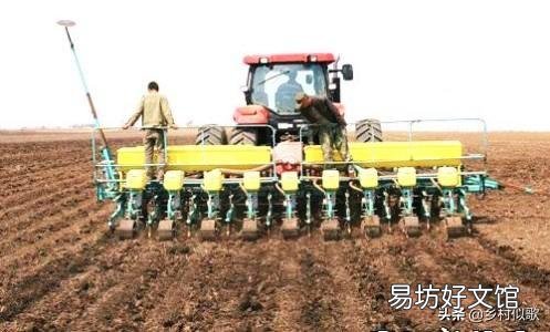 玉米播种质量与壮苗有什么关系?怎样提高播种质量?
