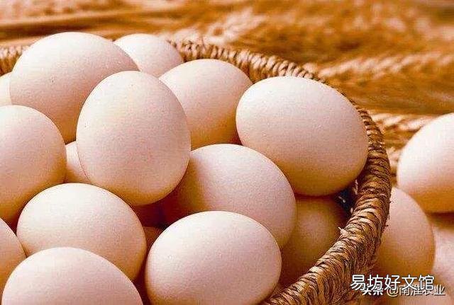 鸡蛋价格预计什么时候能回升?