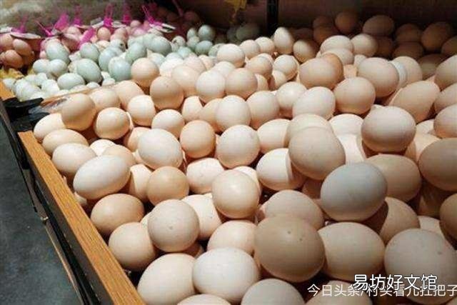 鸡蛋价格预计什么时候能回升?