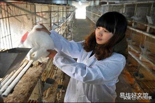 兔舍消毒用什么?