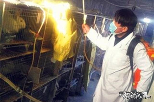 兔舍消毒用什么?