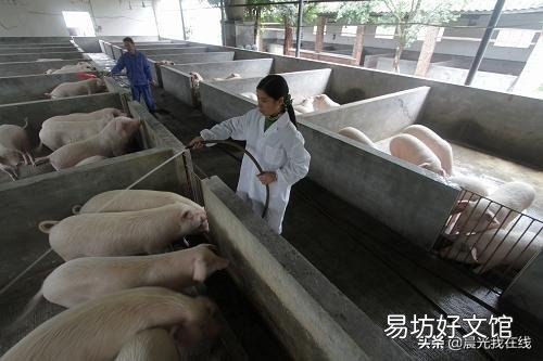“家有万贯,带毛的不算”。在农村从事养殖业有哪些风险因素?