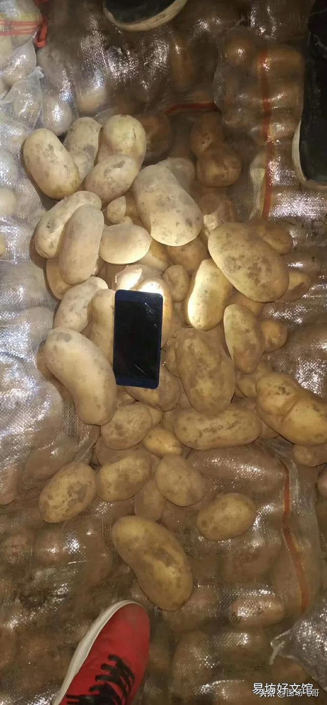 马铃薯贮存期有哪些技术可以防止发芽?