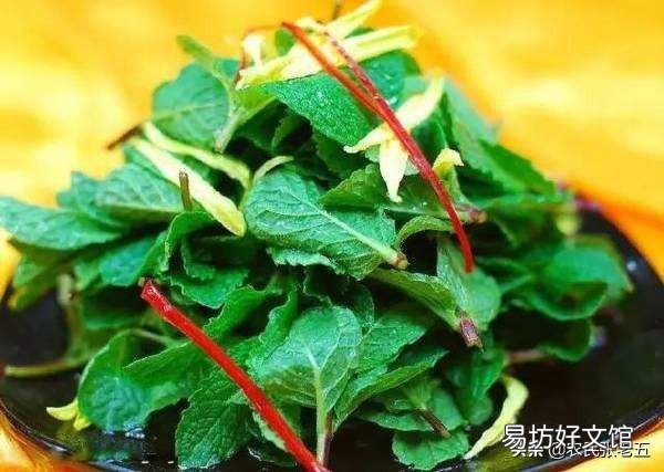 野菜可以人工种植吗?怎么样?