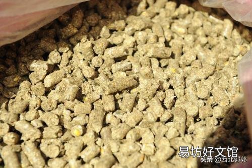 养羊喂颗粒饲料赚钱吗?