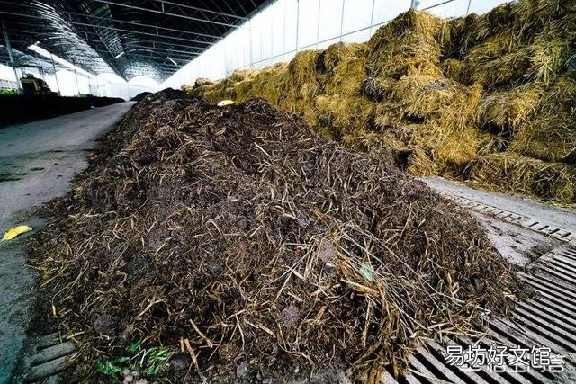 人尿粪成蔬菜种植“宝物”,人粪尿怎样腐熟才安全?