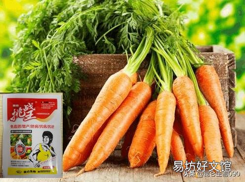 胡萝卜隔几天施一次肥比较好?