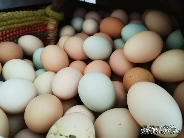 农村的柴鸡蛋吃了有什么好处?应该去哪儿买?