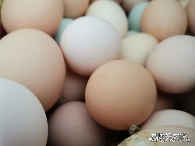 农村的柴鸡蛋吃了有什么好处?应该去哪儿买?