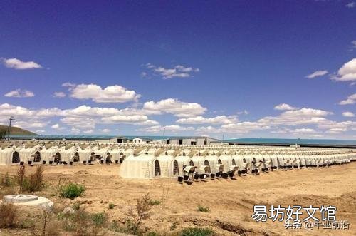 新生犢牛消化不良，腹瀉怎么辦？