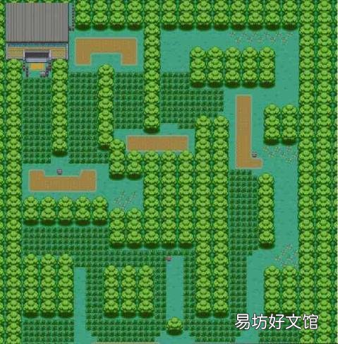 口袋妖怪叶绿必练精灵 口袋妖怪绿叶攻略