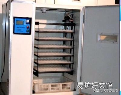 我想弄个孵化场孵鸭苗怎么弄?