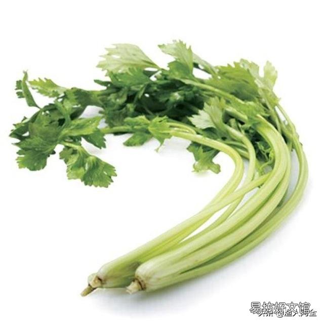 如何科学种植水芹,有哪些好方法?