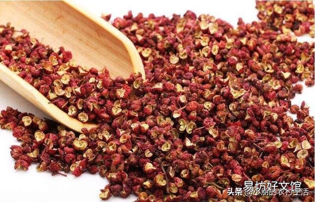 花椒树苗什么时候播种,怎么播种花椒种子好?