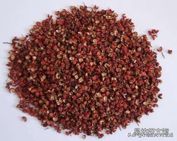 花椒树苗什么时候播种,怎么播种花椒种子好?