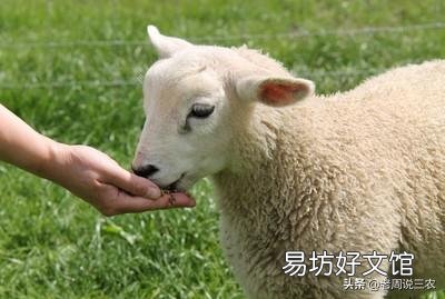 羊育肥预混料的配方都是公开完了的吗?如果我买机器按照袋子上配方自己加工是否可行?