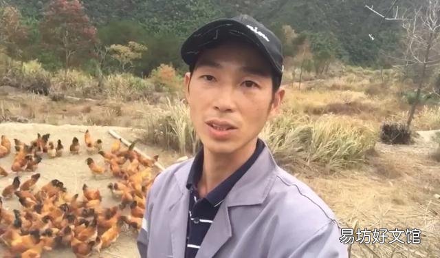 为何有人说养鸡风险很大，但还是很多人愿意选择这个行业？你怎么看？