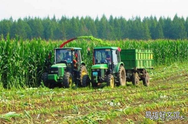 小型养牛场怎么解决冬季饲料?