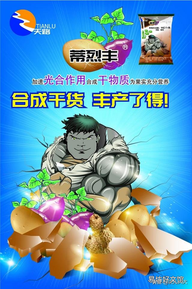 马铃薯薯块高产的定义是什么?生产上如何提高马铃薯薯块产量?