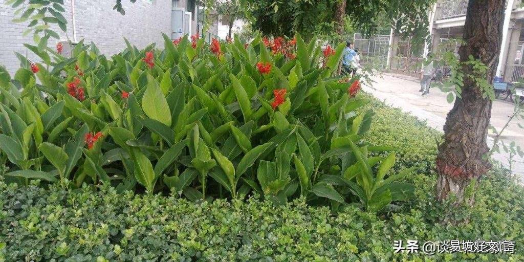 反思性教学是谁提出来的 反思性教学
