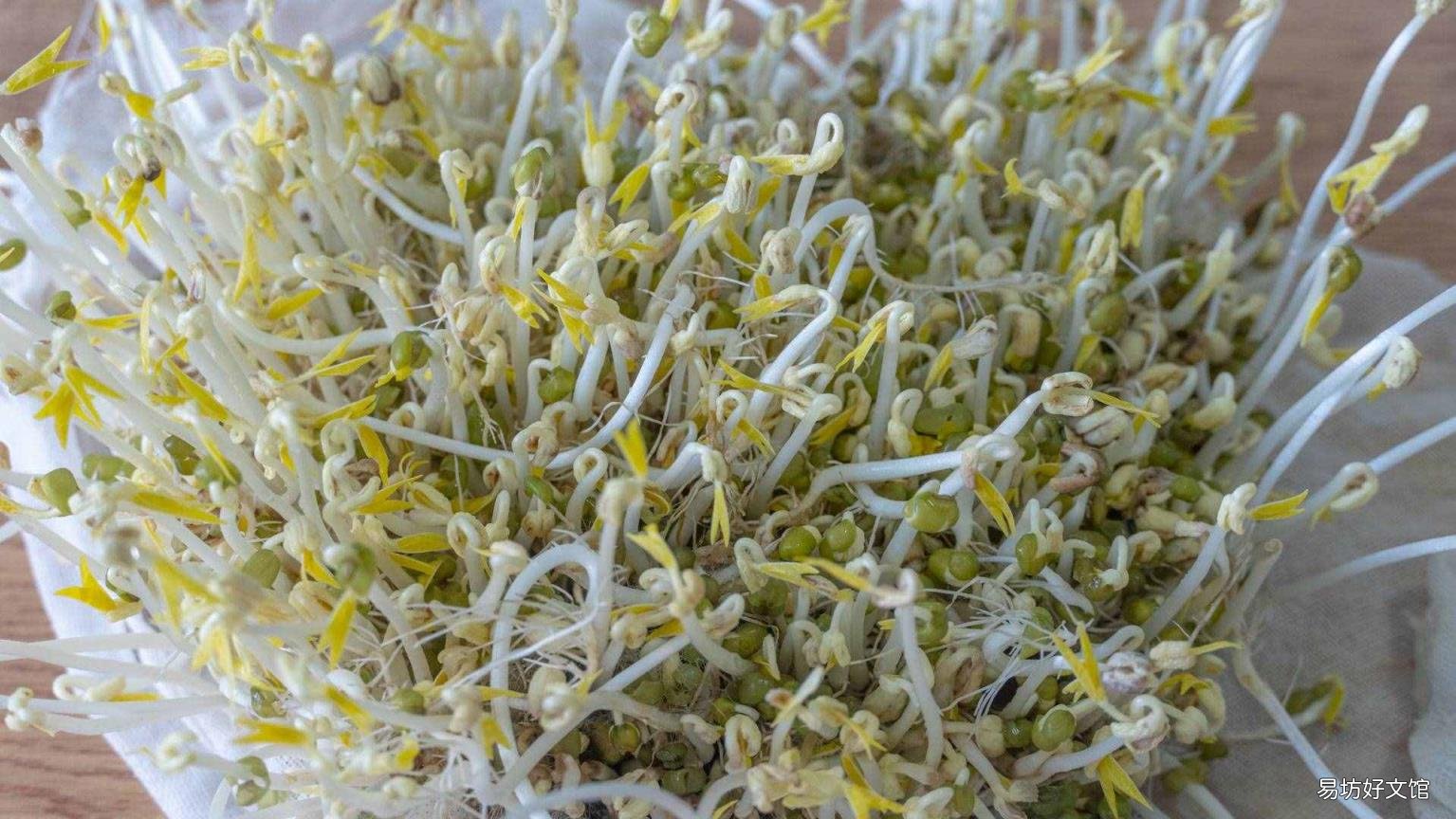 怎样生黄豆芽在家最简单的方法 怎样生黄豆芽