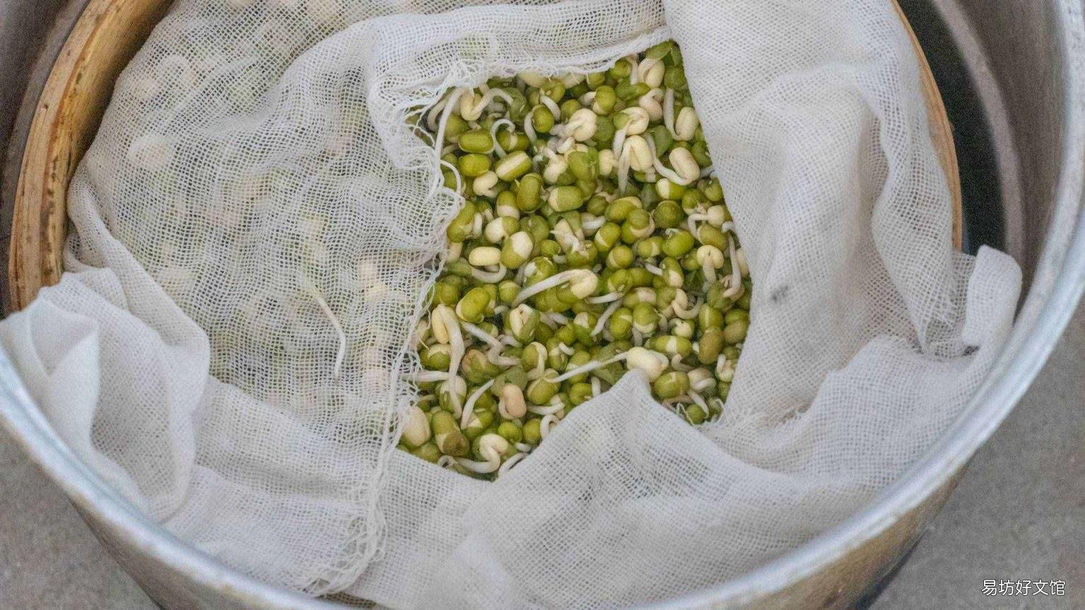 怎样生黄豆芽在家最简单的方法 怎样生黄豆芽