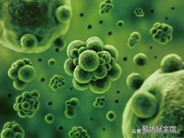 牛4个胃对应火锅店名字 牛有几个胃