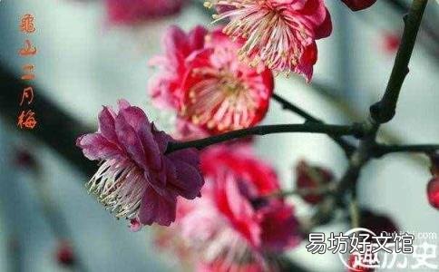 2月份都是28天吗 二月有多少天