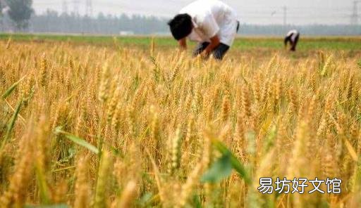 中元节晚上真的有鬼吗 中元节是什么节日
