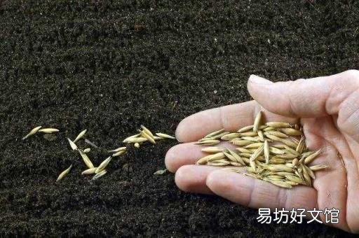 中元节晚上真的有鬼吗 中元节是什么节日