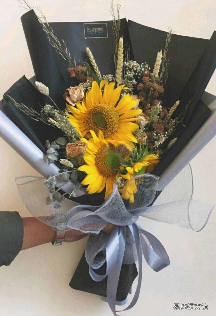高考结束送什么花合适 向日葵的花语和寓意